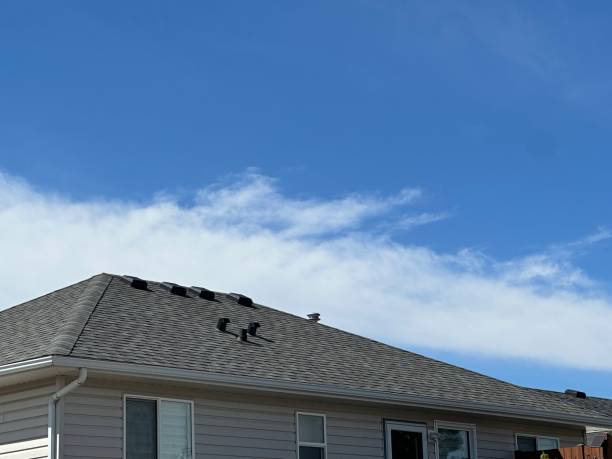 Best Roof Coating and Sealing  in Monroe, OH